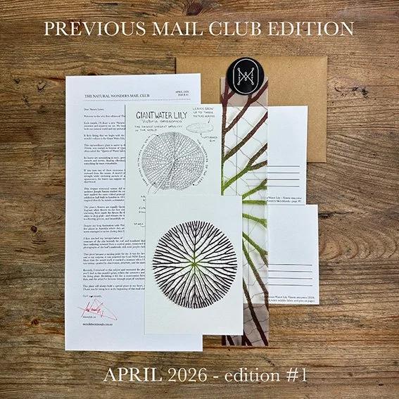 Natural Curiosities  Mail Club gallery image 4