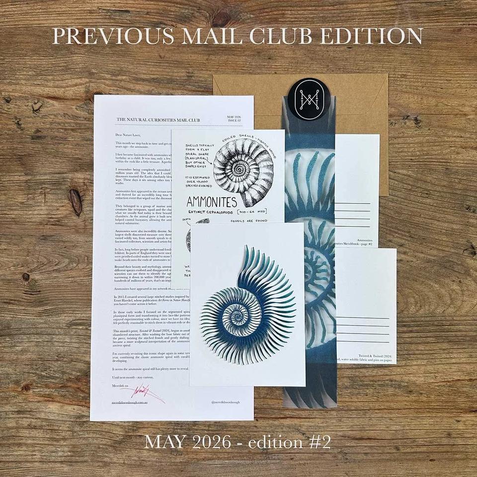 Natural Curiosities  Mail Club gallery image 3