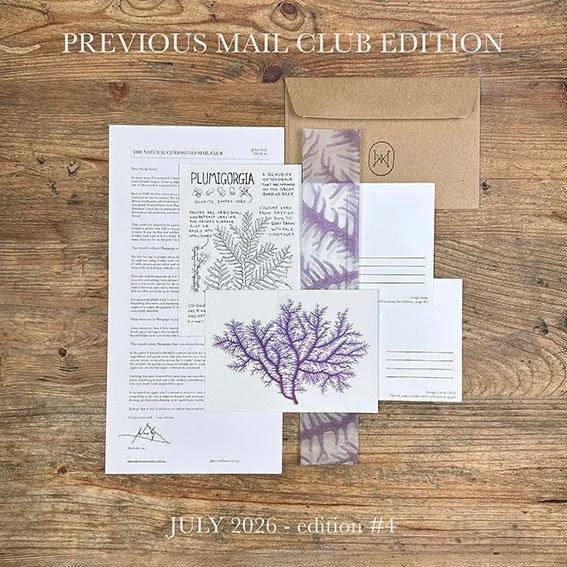 Natural Curiosities  Mail Club gallery image 1