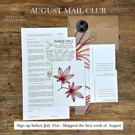 Natural Curiosities  Mail Club — Join my Natural Curiosities Mail Club and receive a small, thoughtful piece of my art practice in your letterbox each month.